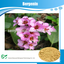 Extracto de Bergenia Crassifolia 10: 1 20: 1, Bergenin CAS: 477-90-7